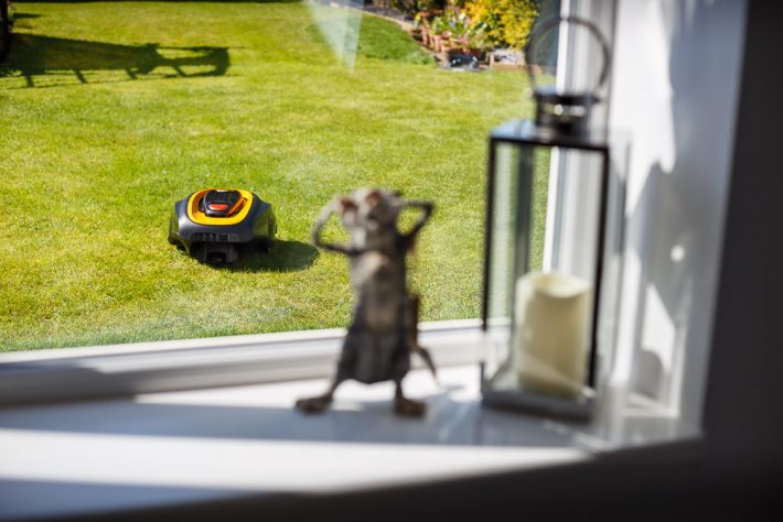 McCulloch R600 Robotic Mower Long Term Test - Month 3