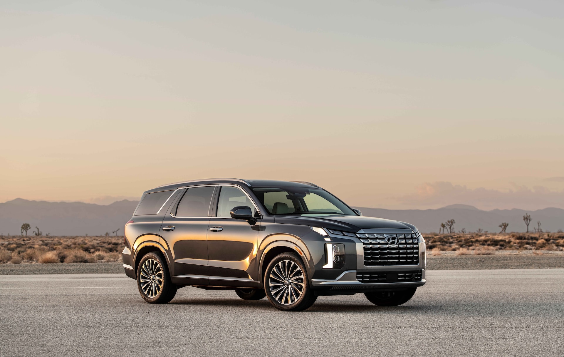Hyundai Palisade Reliability 🏎️ Problems, Ratings, And Recalls