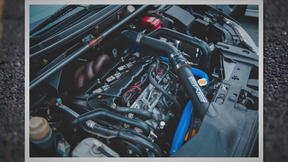 Which Cars Have Soy Based Wiring A Moving Buffet For Rodents?