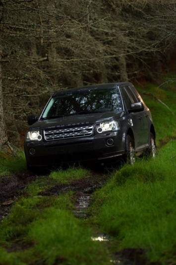 Freelander 2 (5)_533x800