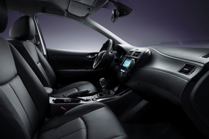 Pulsar interior