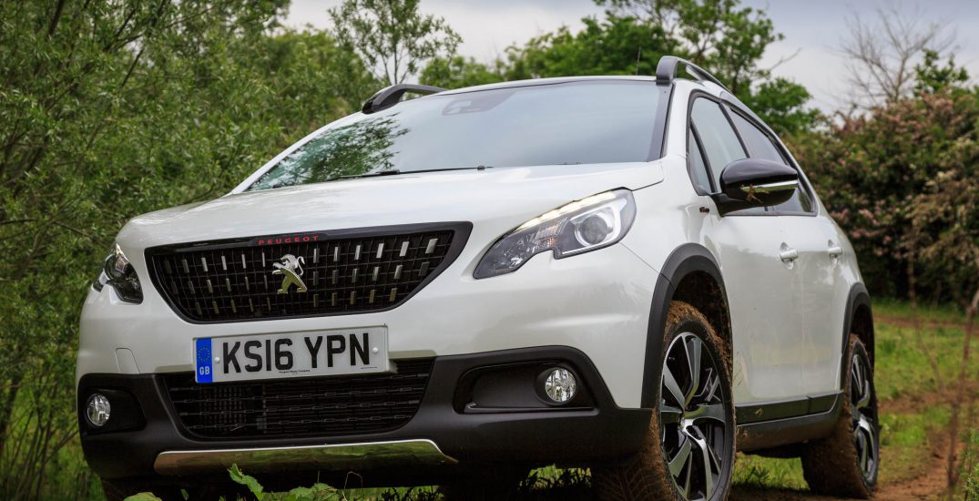 Peugeot 2008 Compact SUV 18