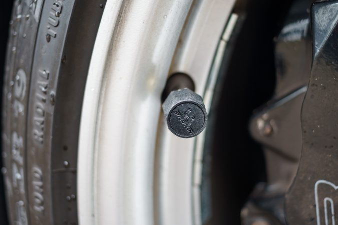 Michelin Tyre Pressure Checker fitted