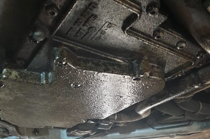 Oil Pan Gasket
