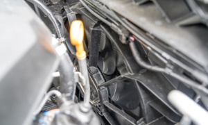 Radiator Fan Not Working