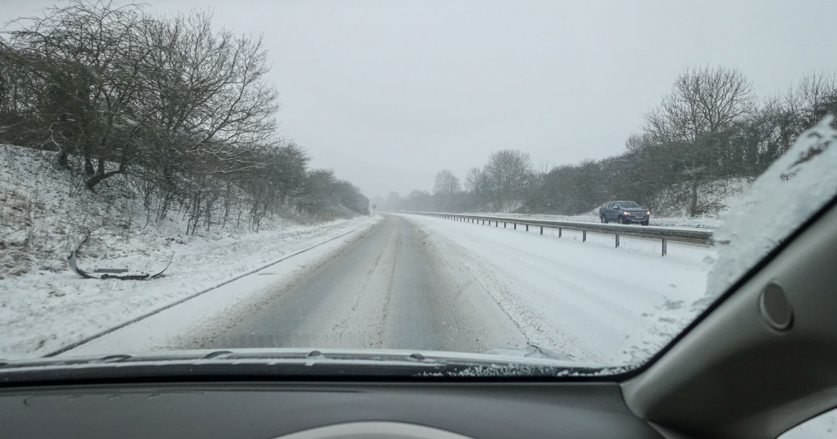 Best Deer Whistles For Cars How Effective & Do They Really Work