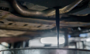 Differential Fluid Change