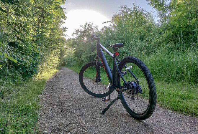 VITESSE Force MTB WM Electric Bike Review