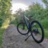 VITESSE Force MTB WM Electric Bike Review