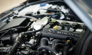 What Does Naturally Aspirated Mean