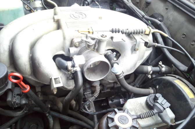 Throttle Sensor