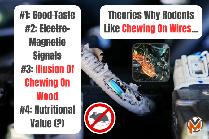 Which Cars Have Soy Based Wiring