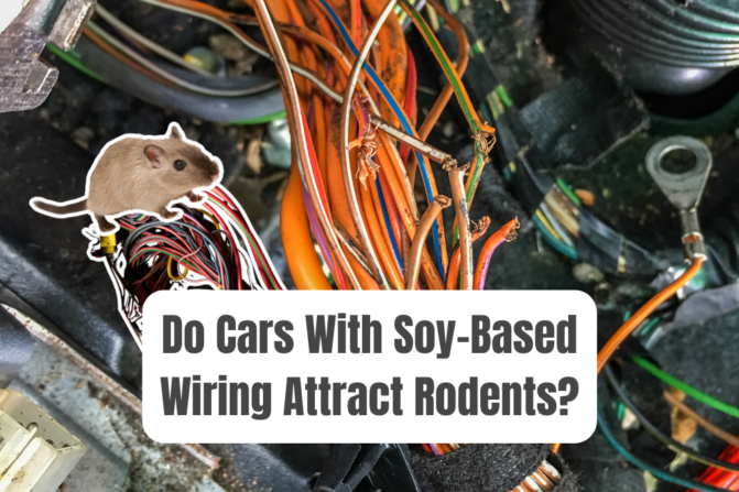 Which Cars Have Soy Based Wiring