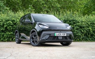 BYD Dolphin Surf Review