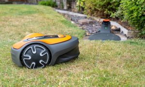 Flymo EasiLife Go 250 Review