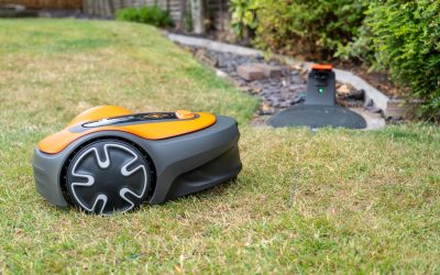 Flymo EasiLife Go 250 Review